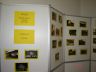 Fotografije učencev smo po končanem projektu razstavili na panoju v PŠ Besnica.