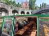 VOŽNJA Z LADJICO PO LJUBLJANICI
